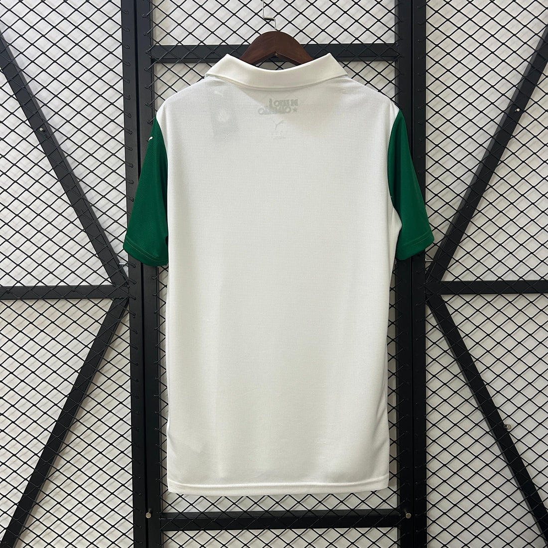 Camiseta Palmeiras 25/26 ll