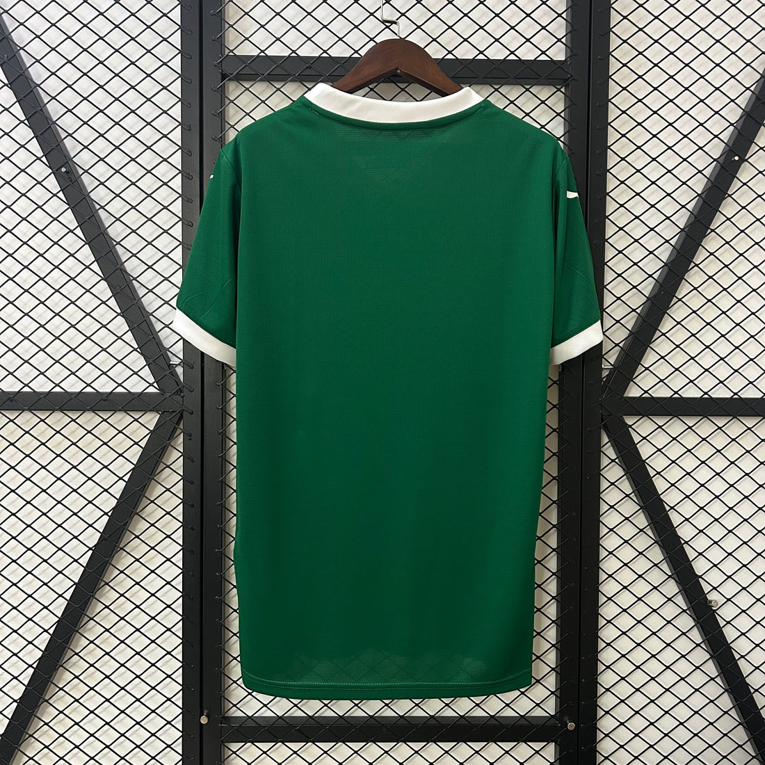 Camiseta Palmeiras 25/26