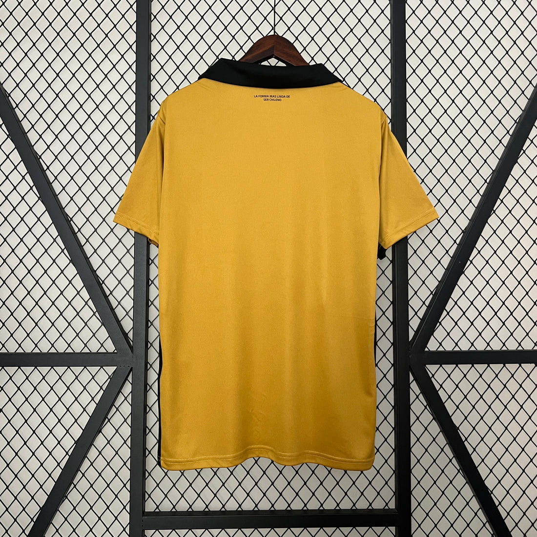 Camiseta Colo Colo II 24/25
