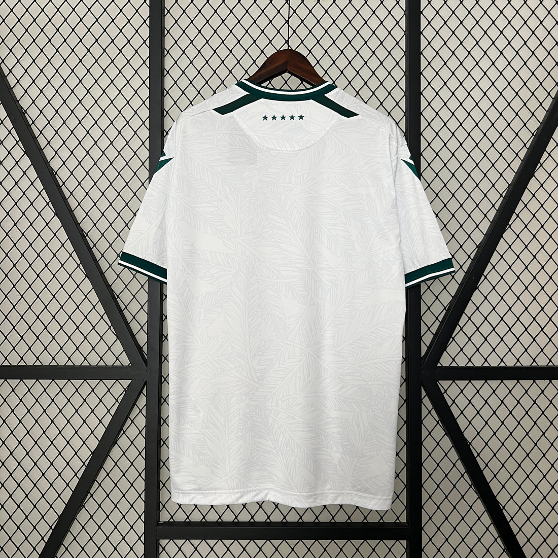 Camiseta Santiago Wanderers II 24/25